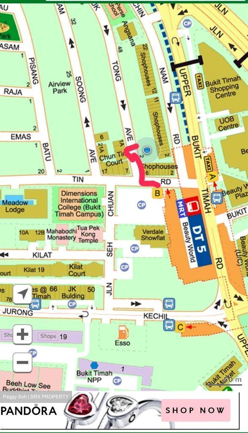 Chun Tin Court (D21), Apartment #298587741